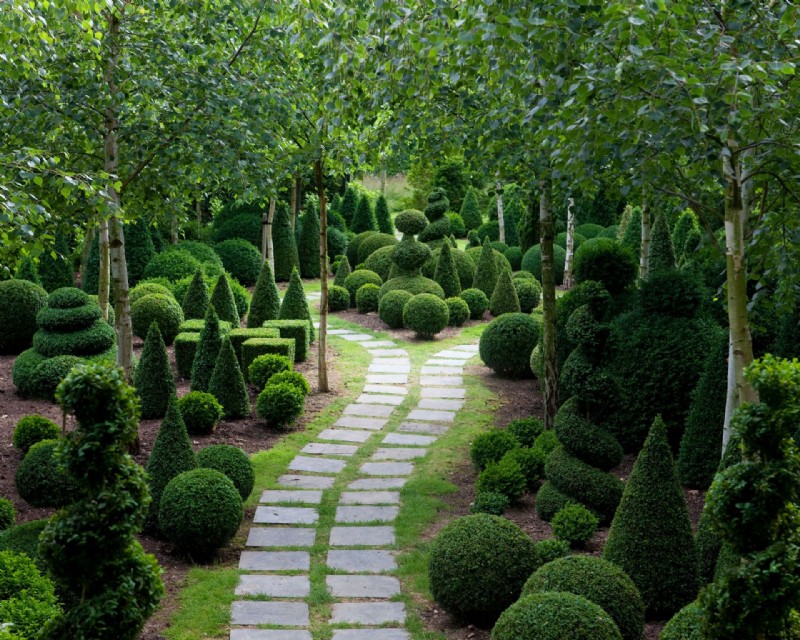 Topiary – 15 Möglichkeiten, beschnittene Evergreens in der Gartengestaltung zu verwenden 