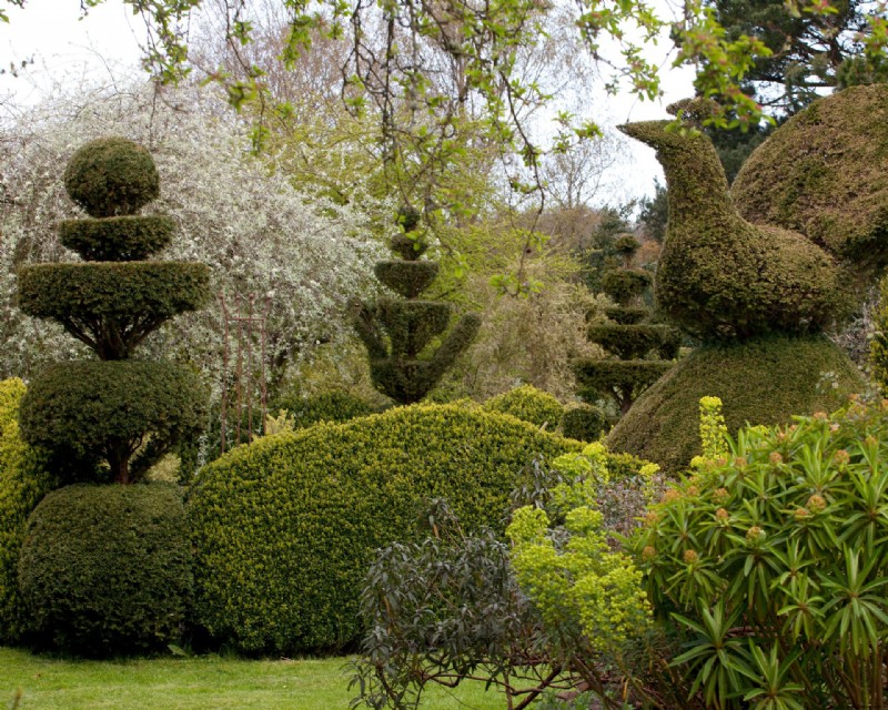 Topiary – 15 Möglichkeiten, beschnittene Evergreens in der Gartengestaltung zu verwenden 