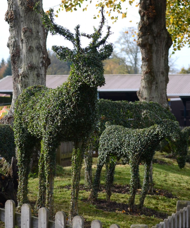 Topiary – 15 Möglichkeiten, beschnittene Evergreens in der Gartengestaltung zu verwenden 