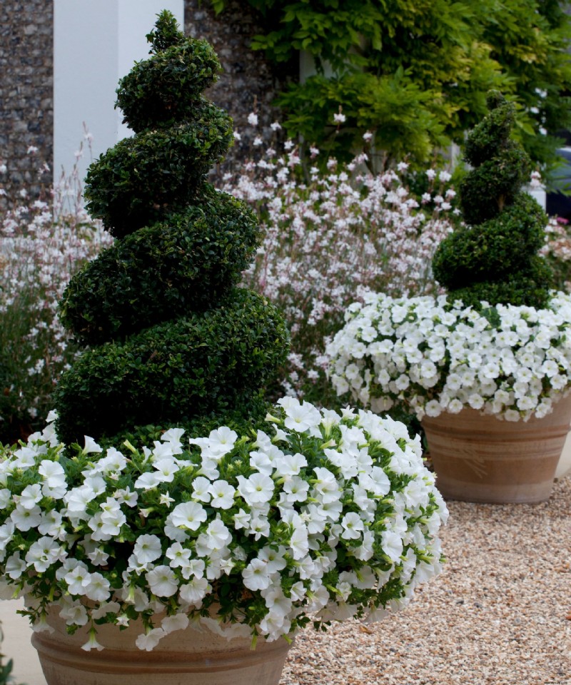 Topiary – 15 Möglichkeiten, beschnittene Evergreens in der Gartengestaltung zu verwenden 