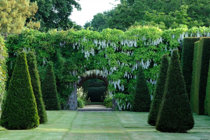 Topiary – 15 Möglichkeiten, beschnittene Evergreens in der Gartengestaltung zu verwenden 