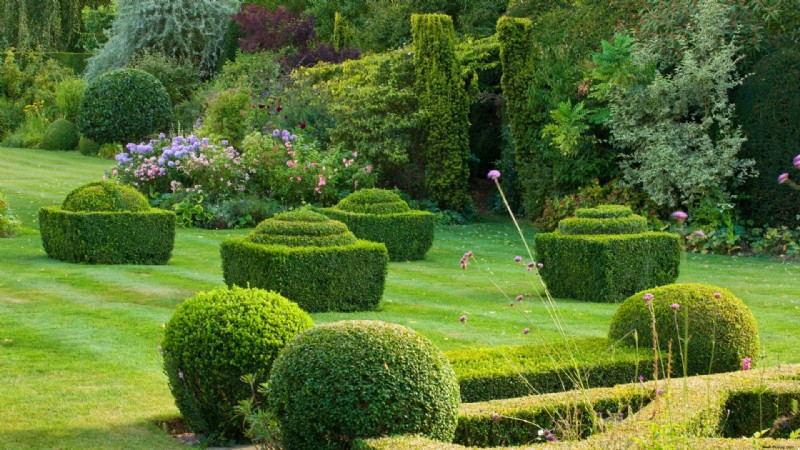 Topiary – 15 Möglichkeiten, beschnittene Evergreens in der Gartengestaltung zu verwenden 