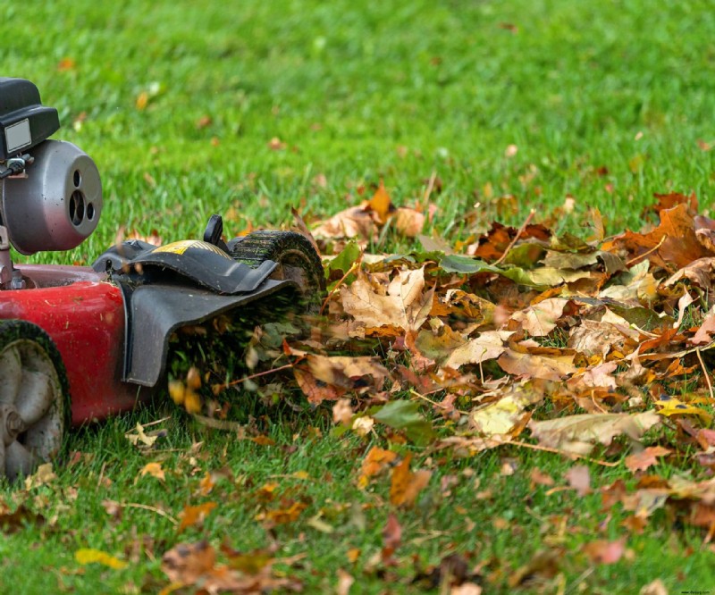 Wann sollten Sie im Herbst mit dem Rasenmähen aufhören? Experten erklären, warum es so wichtig ist, es richtig zu machen 