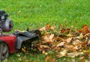 Wann sollten Sie im Herbst mit dem Rasenmähen aufhören? Experten erklären, warum es so wichtig ist, es richtig zu machen 