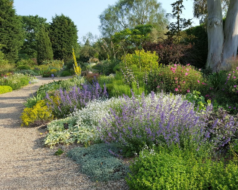 So planen Sie einen Trockengarten – Ideen für Pflanzen und Landschaftsgestaltung 