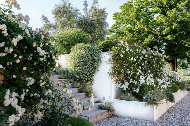 So planen Sie einen Trockengarten – Ideen für Pflanzen und Landschaftsgestaltung 