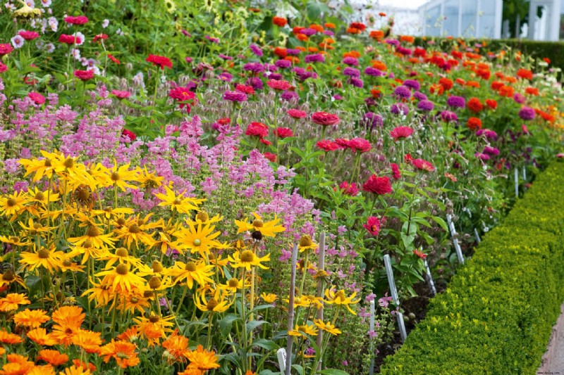 Planen Sie einen Schnittblumengarten – plus die Schnittgartenblumen zum Wachsen 