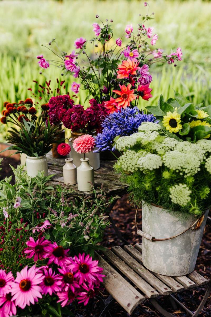 Planen Sie einen Schnittblumengarten – plus die Schnittgartenblumen zum Wachsen 