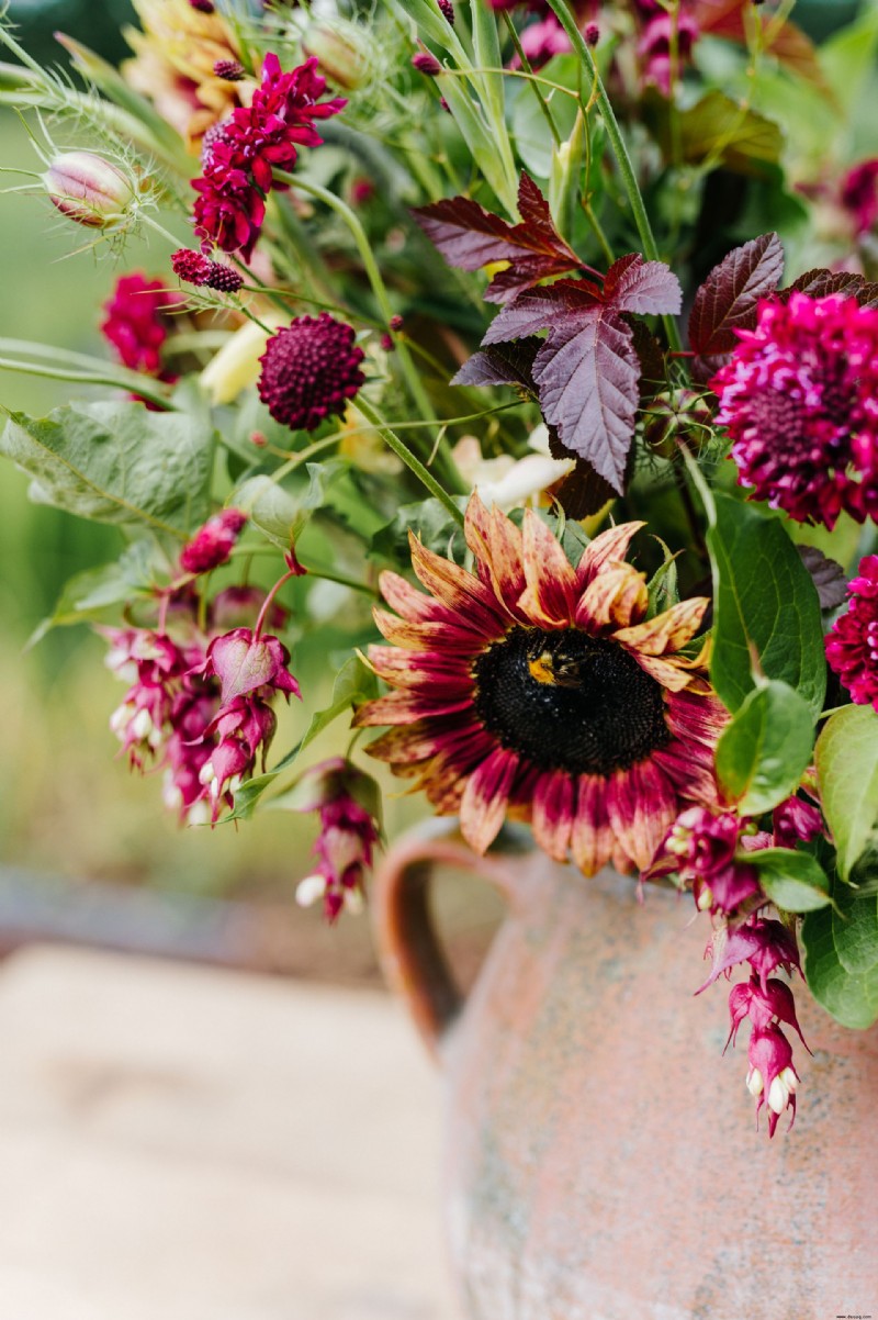 Planen Sie einen Schnittblumengarten – plus die Schnittgartenblumen zum Wachsen 