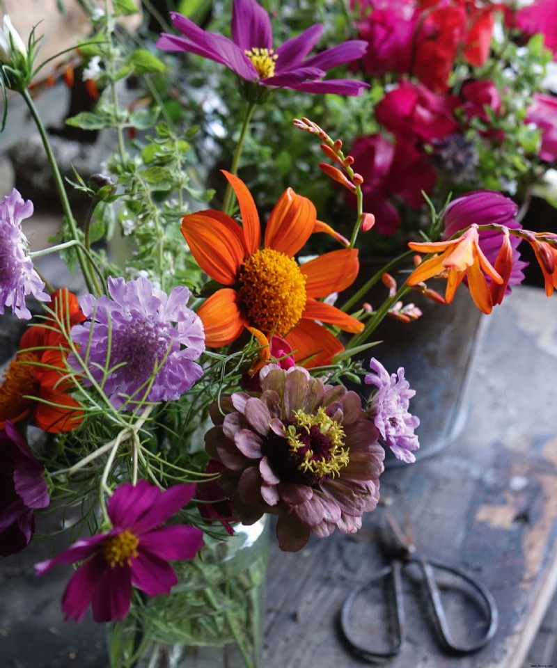 Planen Sie einen Schnittblumengarten – plus die Schnittgartenblumen zum Wachsen 