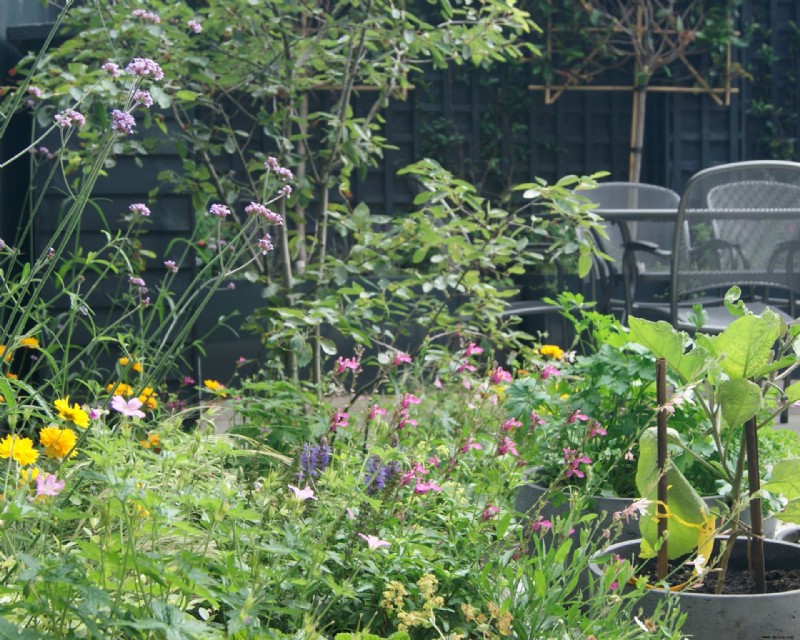 Planen Sie einen Schnittblumengarten – plus die Schnittgartenblumen zum Wachsen 