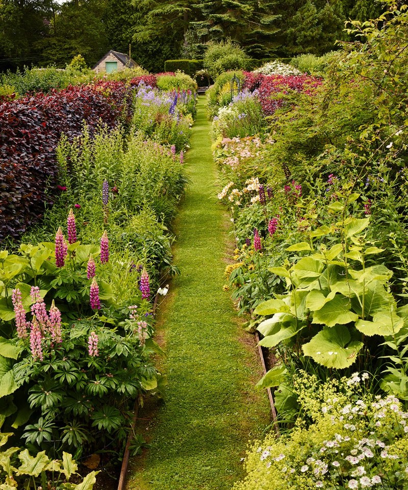 So gestalten Sie einen duftenden Garten – 10 schöne, aromatische Ideen 