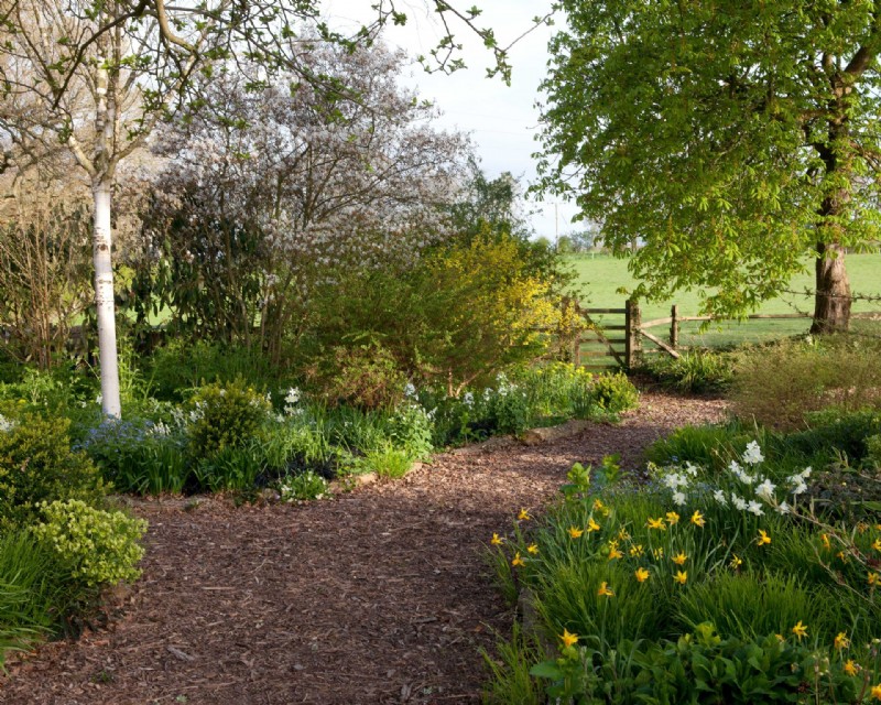 Ideen für Gartenwege – 15 Möglichkeiten, einen schönen Gehweg zu schaffen 