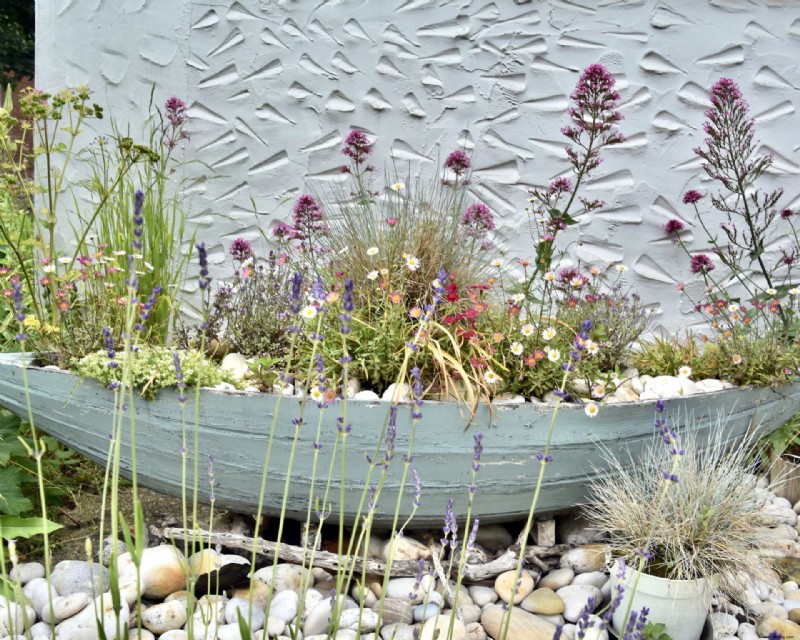 Wildblumengartenideen – 10 Möglichkeiten, Ihrem Garten Wiesenblumen hinzuzufügen 