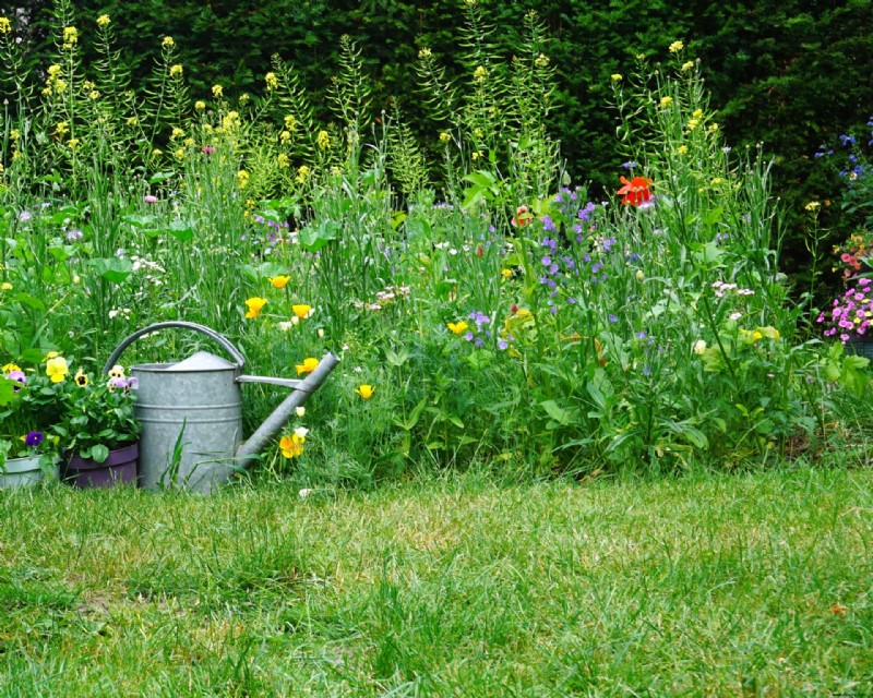 Wildblumengartenideen – 10 Möglichkeiten, Ihrem Garten Wiesenblumen hinzuzufügen 