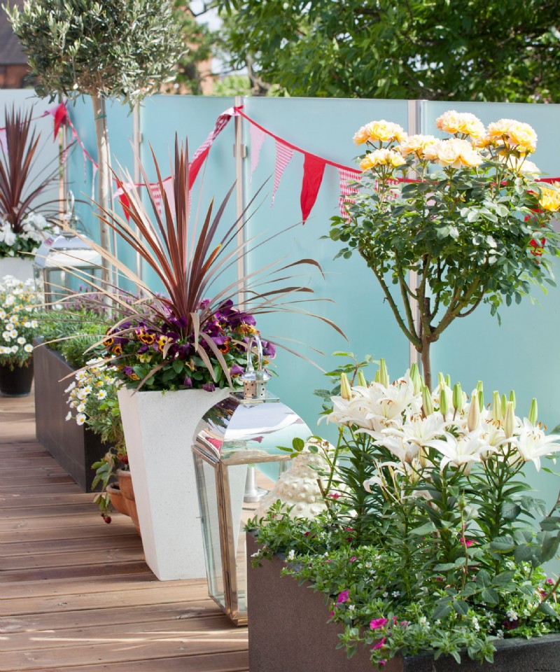 Dachgartenideen – Verwandeln Sie Ihre Terrasse in eine Mini-Gartenbauoase 