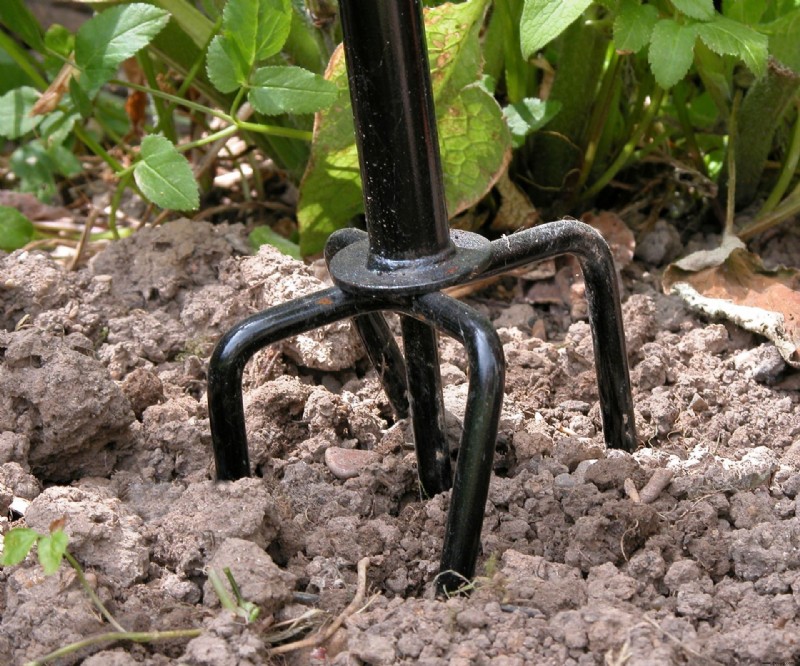 So reparieren Sie einen nassen Rasen – Expertentipps zur Rettung Ihres Gartens 