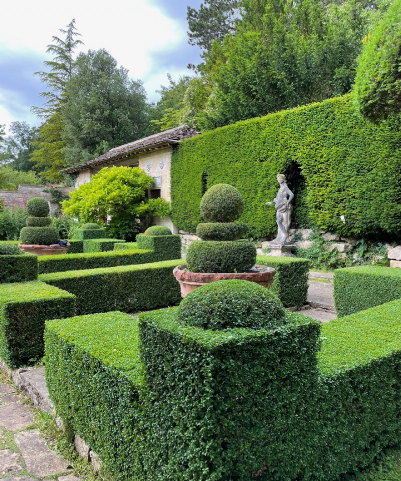 Landschaftsgestaltung mit immergrünen Pflanzen – 9 Möglichkeiten, Ihrem Garten das ganze Jahr über Struktur und Interesse zu verleihen 