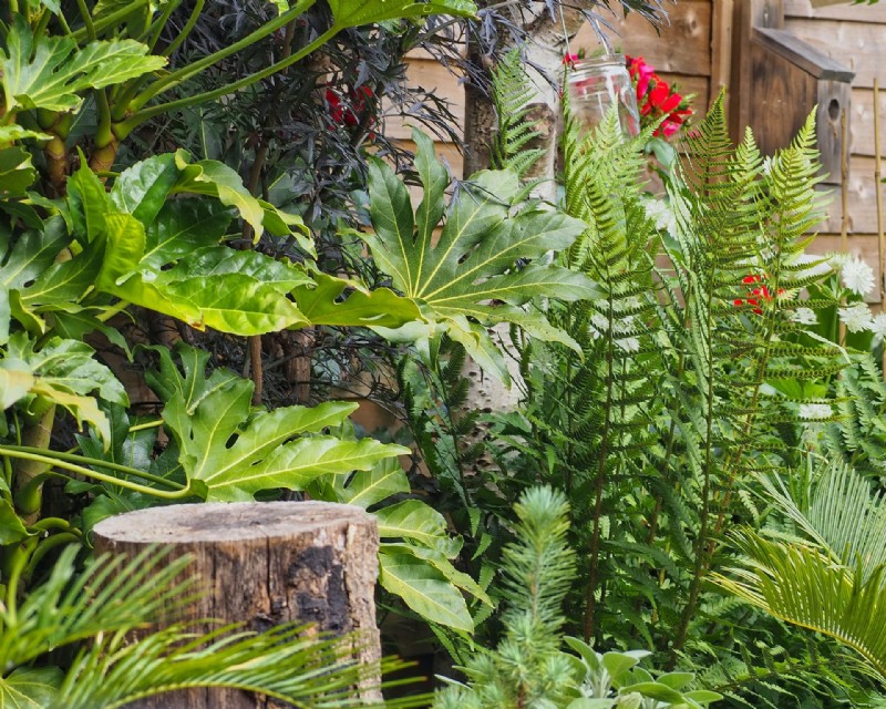 Landschaftsgestaltung mit immergrünen Pflanzen – 9 Möglichkeiten, Ihrem Garten das ganze Jahr über Struktur und Interesse zu verleihen 