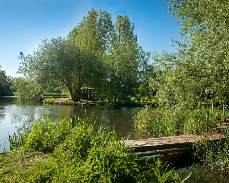 Naturschwimmbäder – alles, was Sie wissen müssen 