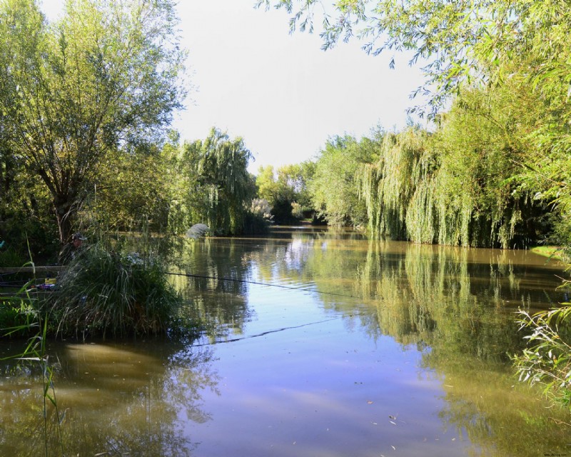 Naturschwimmbäder – alles, was Sie wissen müssen 