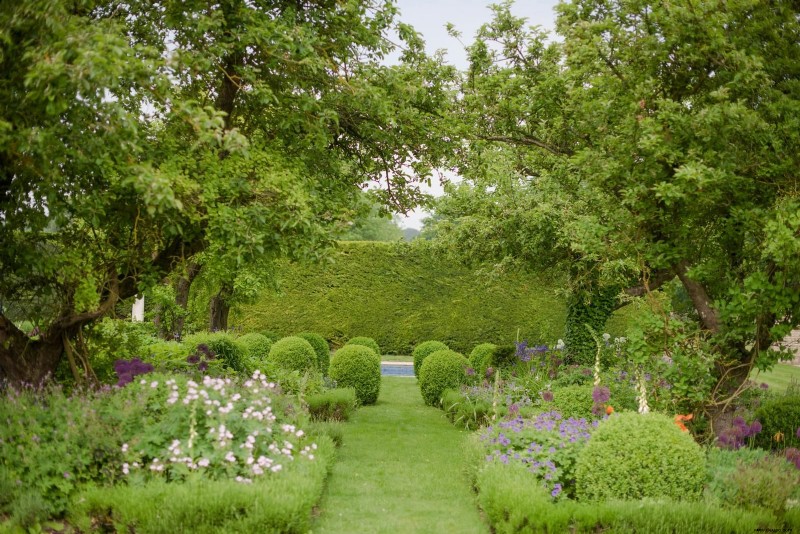 So gestalten Sie einen Hinterhof – Expertenratschläge und Möglichkeiten, Ihren perfekten Garten zu gestalten 