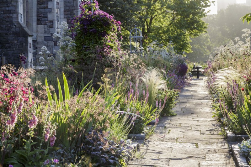 So gestalten Sie einen Hinterhof – Expertenratschläge und Möglichkeiten, Ihren perfekten Garten zu gestalten 