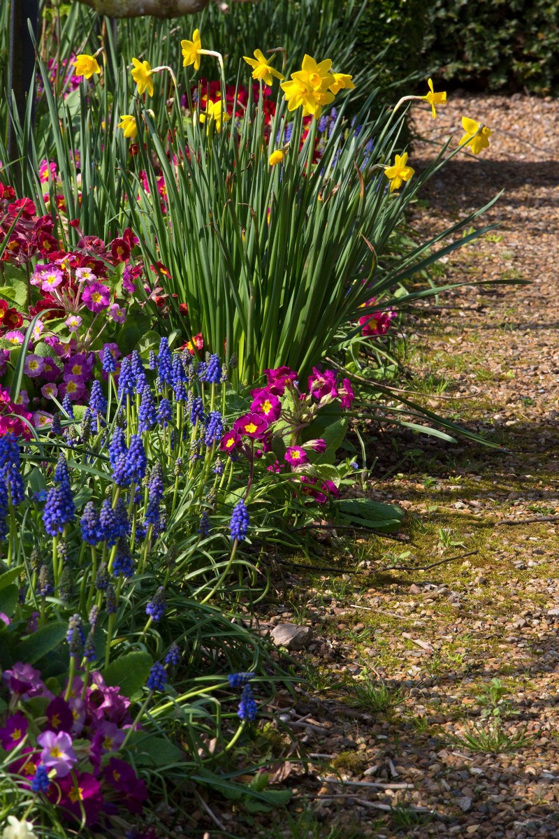 Was Sie im September pflanzen sollten – die besten Blumen, Sträucher, Bäume und Feldfrüchte zum Wachsen 