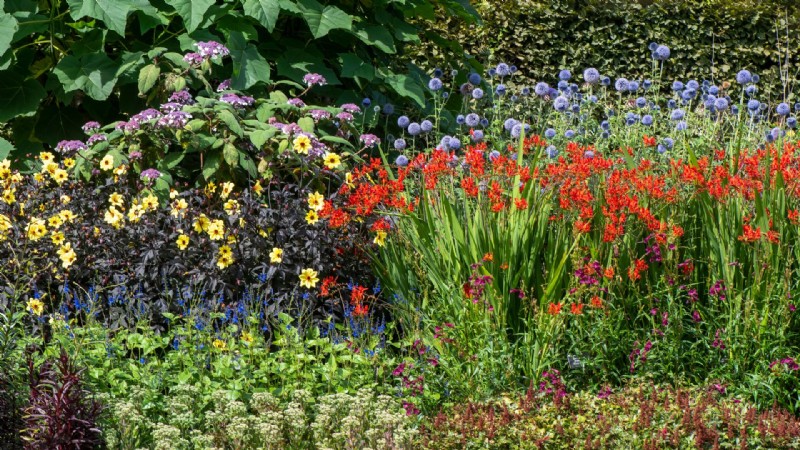 Herbstgarten – wann man für farbenfrohe Töpfe, Beete und Rabatten pflanzt 