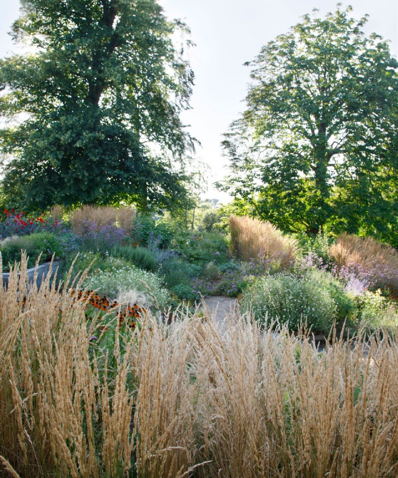 Herbstgarten – wann man für farbenfrohe Töpfe, Beete und Rabatten pflanzt 