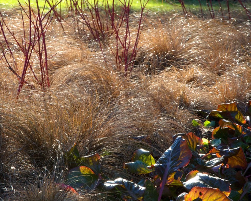 Wintergarten planen – Experten-Pflanzungs- und Gestaltungstipps 