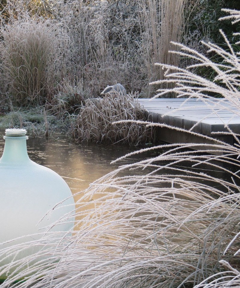 Wintergarten planen – Experten-Pflanzungs- und Gestaltungstipps 