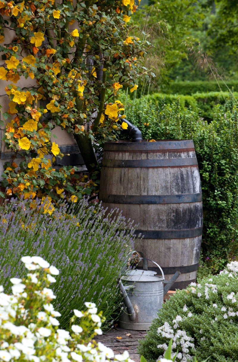 Wintergarten planen – Experten-Pflanzungs- und Gestaltungstipps 