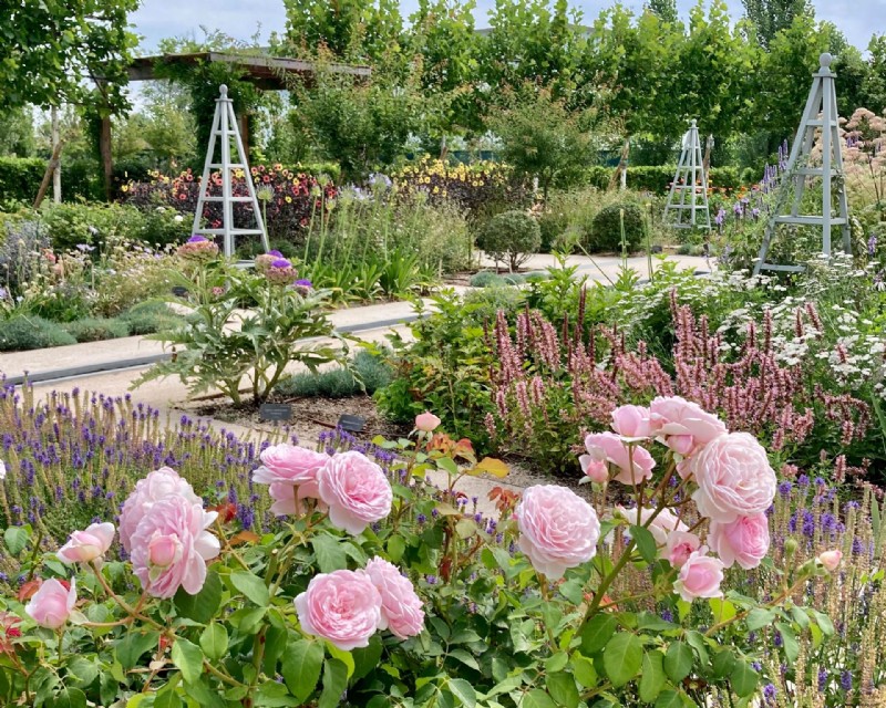 Die Society of Garden Designers Awards 2022 – die Siegergärten 