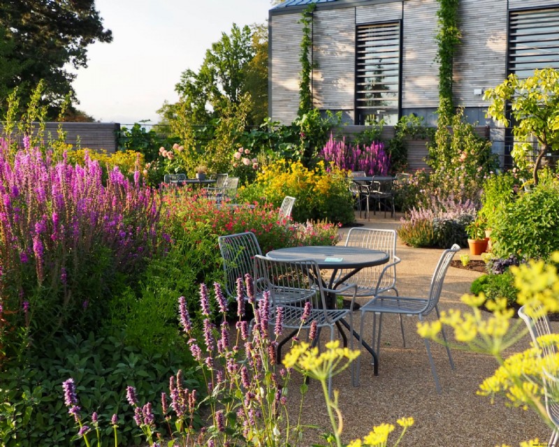 Die Society of Garden Designers Awards 2022 – die Siegergärten 