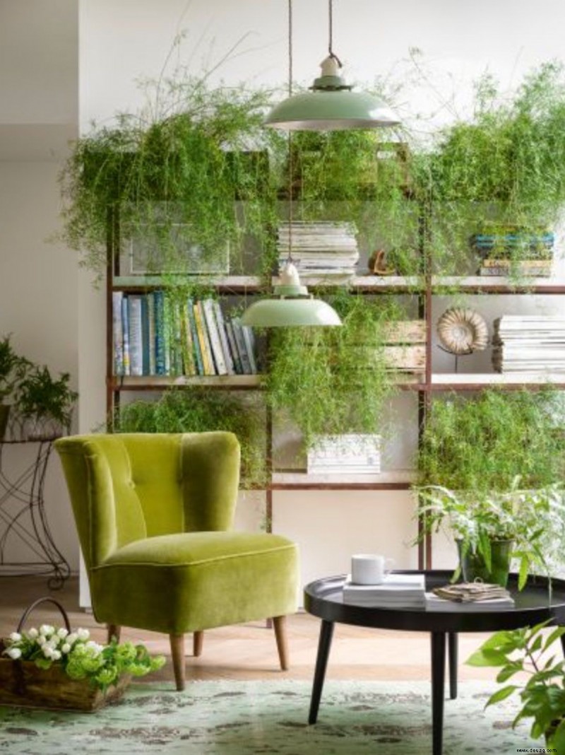 Wohnzimmer Feng Shui – 10 Möglichkeiten, seine Prinzipien in Ihrem Design zu nutzen 