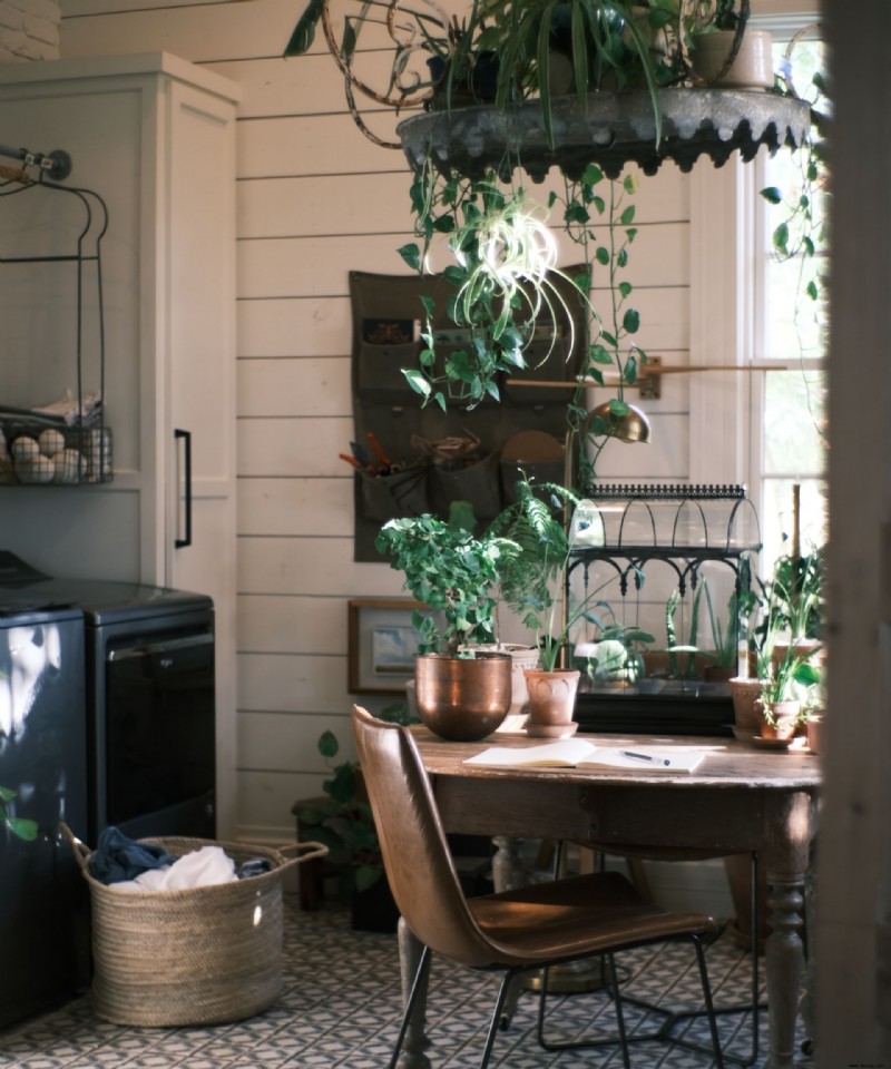 Die Waschküche von Joanna Gaines bietet eine Lektion über den Trend der hängenden Zimmerpflanzen 
