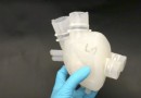 Dieses „weiche“ Herz aus dem 3D-Drucker pocht und pumpt Blut wie das Original