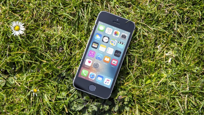 Erscheinungsdatum, Neuigkeiten und Gerüchte des Apple iPhone SE 2:Lecks deuten darauf hin, dass SE 2 eine Notch aufweisen wird 