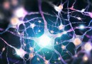 Dieser Neurochip verhält sich genauso wie menschliche Gehirnzellen und könnte uns helfen, künstliche Köpfe zu erschaffen