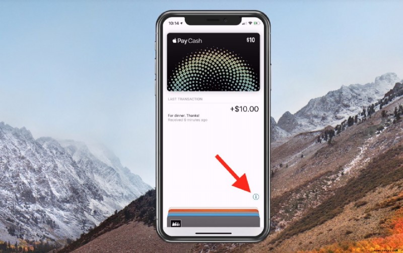 So überweisen Sie Apple Pay Cash auf ein Bankkonto