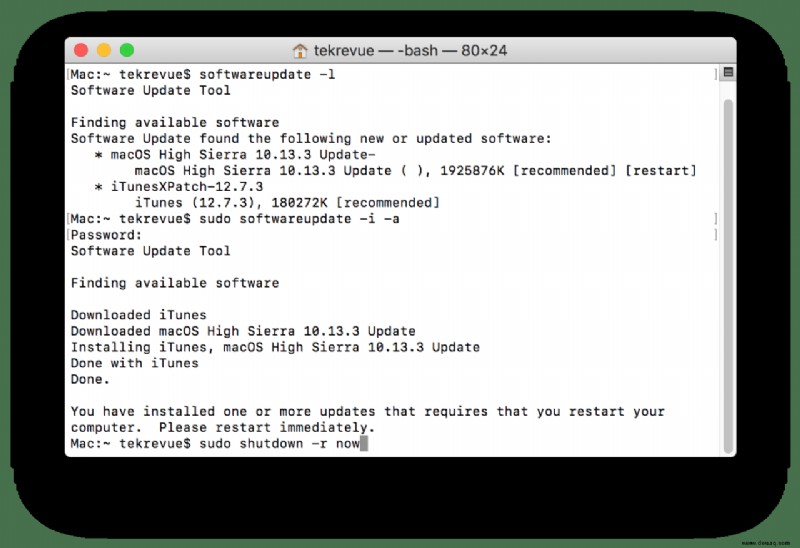 So führen Sie ein Mac-Software-Update über das Terminal aus 