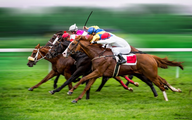 Könnte KI Ihnen helfen, bei den Gee-Gees groß zu gewinnen? Maschinelles Lernen sagt Ergebnisse von Pferderennen mit unglaublicher Genauigkeit voraus 