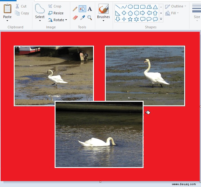 So bearbeiten Sie Bilder mit Paint und Fotos in Windows 10