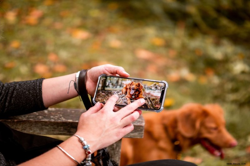 iPhone XS Max – Verwendung von Zeitlupe