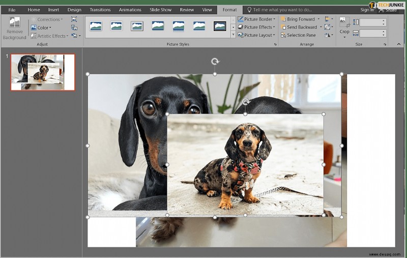 So überlagern Sie Bilder in PowerPoint
