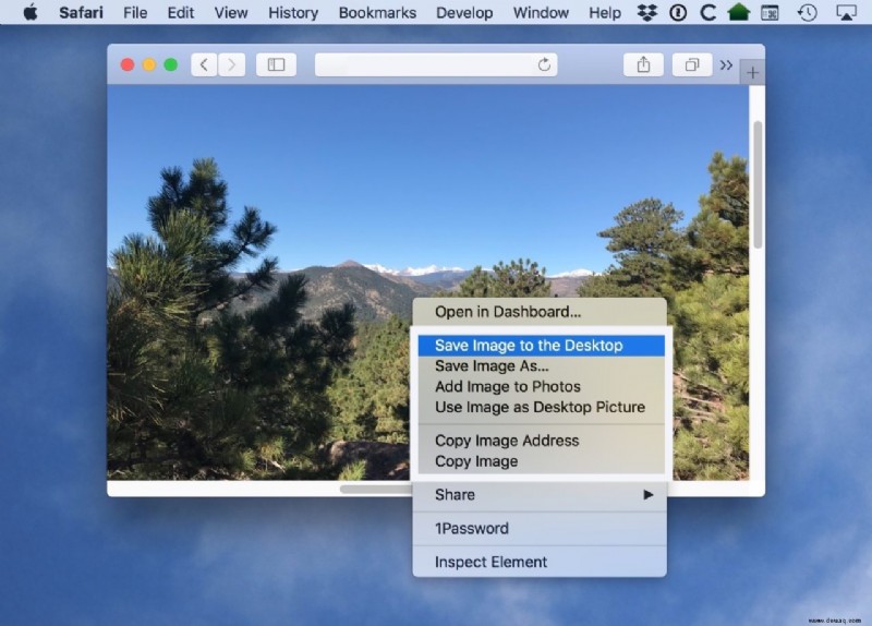 Kopieren und Speichern von Bildern aus Safari auf dem Mac