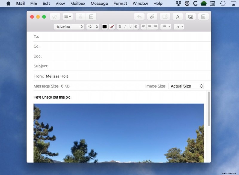 Kopieren und Speichern von Bildern aus Safari auf dem Mac