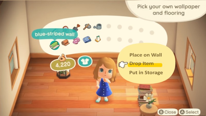 So erhalten Sie mehr Speicherplatz in der Tasche in Animal Crossing:New Horizons
