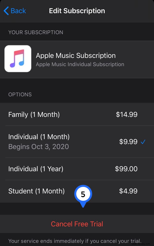 So kündigen Sie App Store-Abonnements über iOS und iTunes